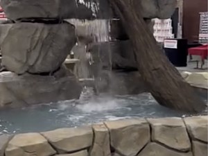 Water Feature Services, Santa Rosa Beach, FL